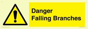 Danger Falling Branches